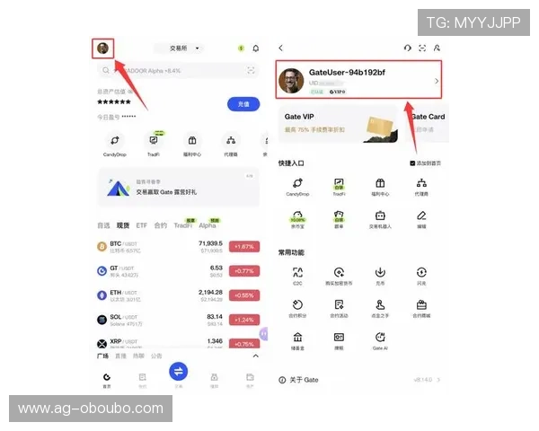 如何快速找到欧博会官网登录入口并顺利完成下载安装操作指南